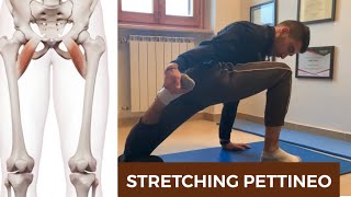 MIGLIORA LA SALUTE DELLE ANCHE STRETCHING DEL MUSCOLO PETTINEO [upl. by Horatia]