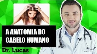 ANATOMIA do Cabelo para Profissionais da Área  Dr Lucas Fustinoni [upl. by Rachel921]