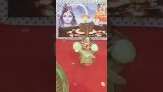 Safed aankde ke pushp ka shivling per chadne ka upayhar har mahadevshortsvideo [upl. by Eelac596]