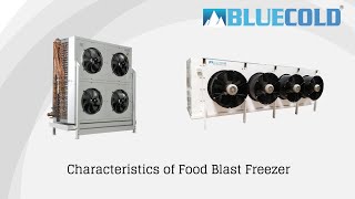 Characteristics of Blast Freezer [upl. by Eniffit]