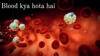 blood kya hai in hindi l all about white blood cells hindi l blood vessels blood circulatory system [upl. by Tamarra]