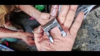 HOW TO CHANGE CLUTCH PLATE OF MAIJO POWER WEEDER 1100B6DLX  TECHNOLOGY REPAIR  SUBSCRIBE [upl. by Bridwell]