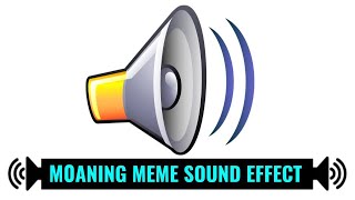 Loud Moaning MEME Sound Effect 1 Hour [upl. by Madelyn]