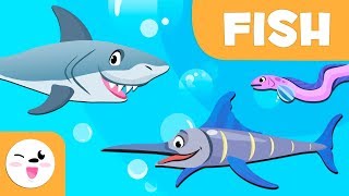 Fish for kids  Vertebrate animals  Natural Science For Kids [upl. by Altaf]