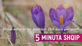 Kjo lule që rritet në Kosovë e Shqipëri kushton plot 250 euro për gram [upl. by Chadwick]