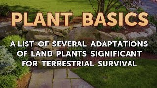 A List of Several Adaptations of Land Plants Significant for Terrestrial Survival [upl. by Montford687]