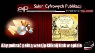 AA Milne  Kubuś Puchatek  AudioBook MP3 [upl. by Coppock]