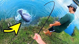 We CAUGHT A ROD with a MONSTER CATFISH ON IT UNREAL [upl. by Enelram]