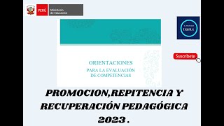 PROMOCION REPITENCIA Y RECUPERACIÓN PEDAGÓGICA 2023 [upl. by Haneen946]