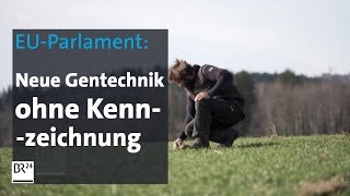 EUParlament Neue Gentechnik ohne Kennzeichnung  BR24 [upl. by Yanal]