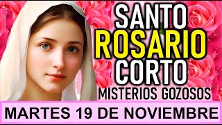 SANTO ROSARIO CORTO DE HOY MARTES 19 DE NOVIEMBRE DE 2024 🌺 MISTERIOS GOZOSOS [upl. by Ylrebmek]