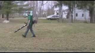 Dethatching Lawn Removing thatch after using dethatcher [upl. by Licko805]