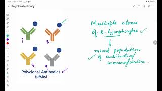 Polyclonal antibody [upl. by Ahsinod]