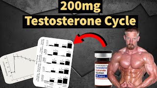 200mg Testosterone Cycle  Best Steroid Cycle  Muscle Gains  Side Effects  Doctors Analysis [upl. by Oneida]