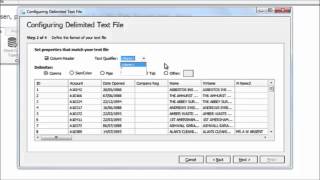 Acuate Data Profiling Tool How to use a Text File [upl. by Towland337]