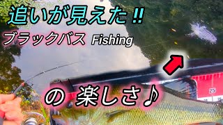 追いが見えるヒットの楽しさ♪ブラックバスfishing [upl. by Divadleahcim841]