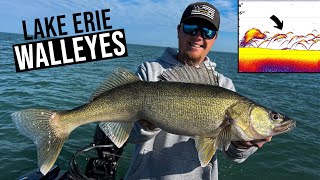 Catching BIG Lake Erie Walleyes Trolling DEEP Diving Crankbaits [upl. by Inilam338]