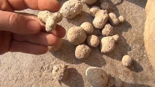 Trovants las rocas que crecen en Rumanía [upl. by Notlrahc]