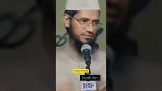 Pantheism  drzakirnaik islamicvideo shorts [upl. by Hillyer55]