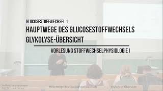 Hauptwege des Glukosestoffwechsel  GlykolyseÜbersicht Glucosestoffwechsel 1 [upl. by Aivon]