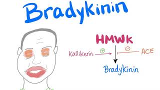 Bradykinin  Let the Drama begin [upl. by Connett]