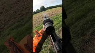 Tir dun gros sanglier de plus de 80kg  chasse sanglier hunting [upl. by Blackmun225]