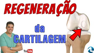 Regeneração da cartilagem pela Membrana de colágeno [upl. by Handal382]