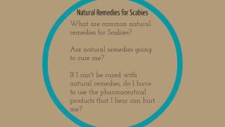 Home Remedies for Scabies Do natural cures and home remedies really work to Cure Scabies [upl. by Elyr]