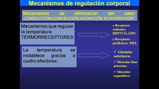 Fisiología del Ejercicio [upl. by Perl]