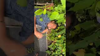 Avalothan namba muduchu vittinga ponga  bts shoot interview vlogsvideo funny friends travel [upl. by Terrie506]