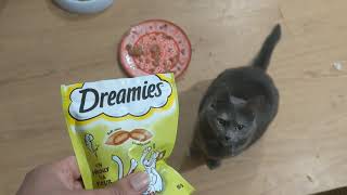 Dreamies Cat Treats [upl. by Rendrag]