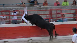 BEAUCAIRE28062024Course CamarguaiseAvenir [upl. by Hartwell615]