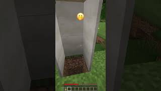 Why All These Villagers Went Crazy shorts meme minecraft [upl. by Montagu]