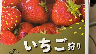 2 いちご狩り農園 定植編 VOL2 [upl. by Zoie]