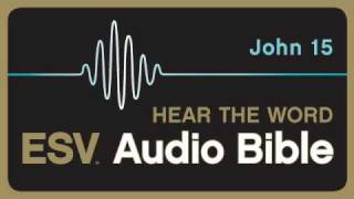 ESV Audio Bible Gospel of John Chapter 15 [upl. by Blackmun568]