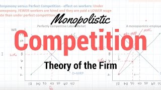 Monopolistic Competition [upl. by Ahsino]