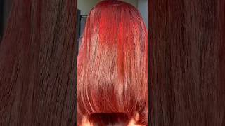 AUGEAS HAIR DYE SHAMPOO  WINE RED shorts wineredhaircolor [upl. by Adnalra925]