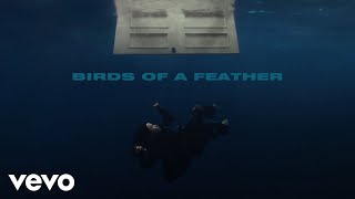 Billie Eilish  BIRDS OF A FEATHER Official Lyric Video [upl. by Prentiss]