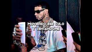 Anuel  Borracha y Loca Letra [upl. by Ellwood467]