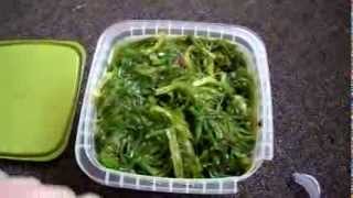 Review Azuma Gourmet Wakame Seaweed Salad kelp fucoxanthin omega 3 calcium iodine thiamine niacin [upl. by Nomal]