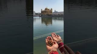 Rabba khair Kri🙏video viral youtubeshorts ytstudio amritsar halwa couple wmk waheguru view [upl. by Oirramaj]