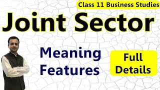 Joint Sector Business Studies Class 11  Meaning amp Features of Joint Sector  Joint Sector in Hindi [upl. by Derrej]