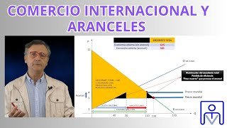 COMERCIO INTERNACIONAL Y ARANCELES [upl. by Ambros]