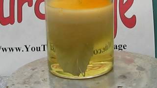 Make Silver Nitrate From Silver and Nitric Acid [upl. by Sension666]