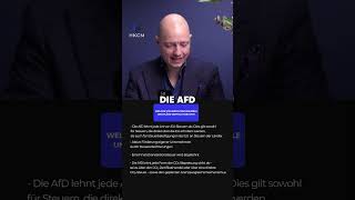 Die steuerpolitischen Ziele der AfD 💵 [upl. by Mozza846]