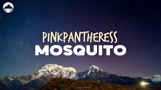 PinkPantheress  Mosquito  Lyrics [upl. by Onidranreb]