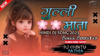 GULLI MATA HINDI DJ SONG 2023  HARD BASS  DJ CHINTU RATHIAISKANDAMOVIEANIMALMOVIE2023 [upl. by Dnaltruoc]