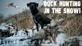 FIRST SNOW HUNT OF THE YEAR LIMIT SPOONIES EVERYWHERE  NEBRASKA PUBLIC LAND DUCK HUNTING [upl. by Fessuoy]