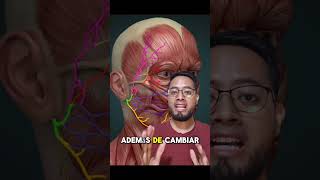 Causas de la parálisis facial anatomia fisioterapia dolor rehabilitación animation medicina [upl. by Noneek]