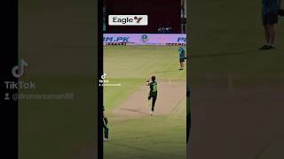 Eagle 🦅Shaheen Afrdi shaheenafridi cricket pakistan india worldcup t20worldcup babarazam [upl. by Stephannie]